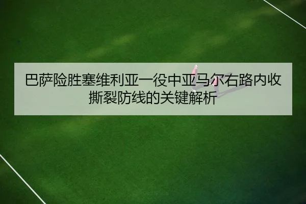 ba-sa-xian-sheng-sai-wei-li-ya-yi-yi-zhong-ya-ma-er-you-lu-nei-shou-si-lie-fang-xian-de-guan-jian-jie-xi-2-960.jpg