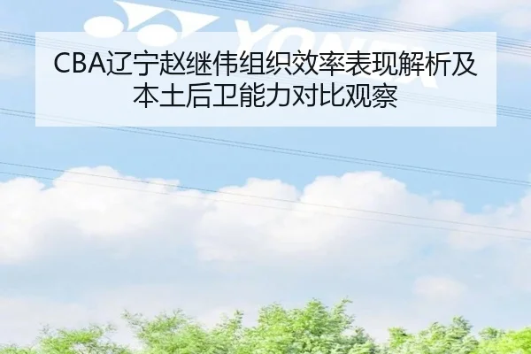 CBA辽宁赵继伟组织效率表现解析及本土后卫能力对比观察
