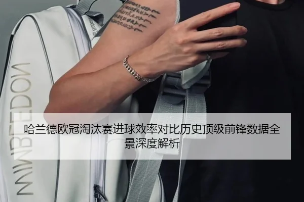哈兰德欧冠淘汰赛进球效率对比历史顶级前锋数据全景深度解析
