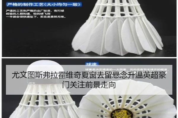 尤文图斯弗拉霍维奇夏窗去留悬念升温英超豪门关注前景走向