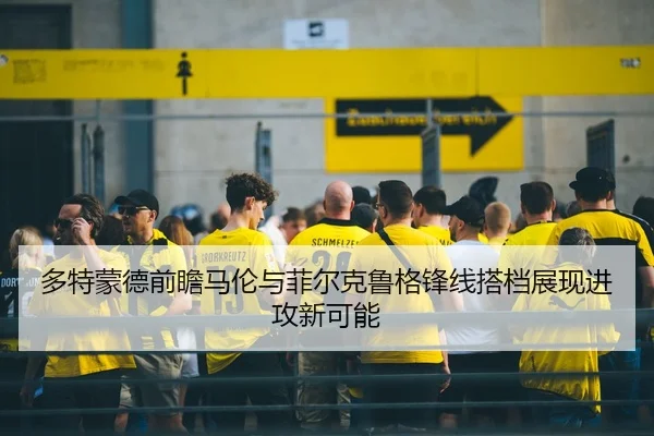 多特蒙德前瞻马伦与菲尔克鲁格锋线搭档展现进攻新可能